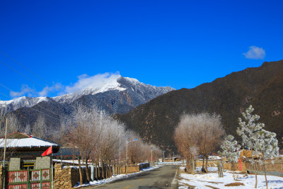 中国西藏地区冬季雾凇及雪绒花