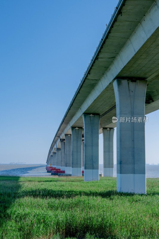 上海长江大桥崇明岛