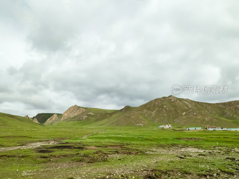 六月的青海湖风景