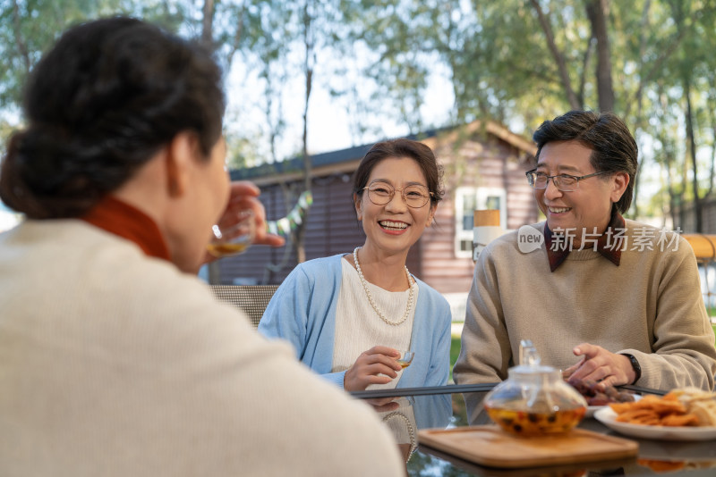 中老年人在露营地喝茶聊天