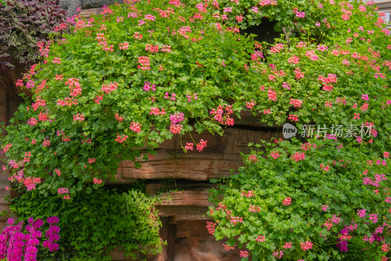 花卉装饰背景