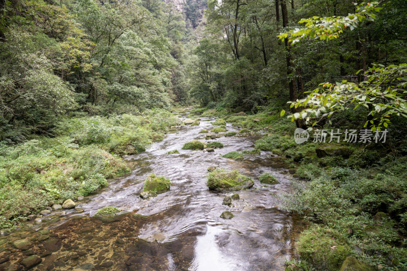 张家界国家森林公园