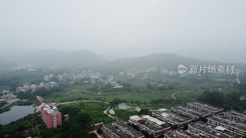 仰恩大学