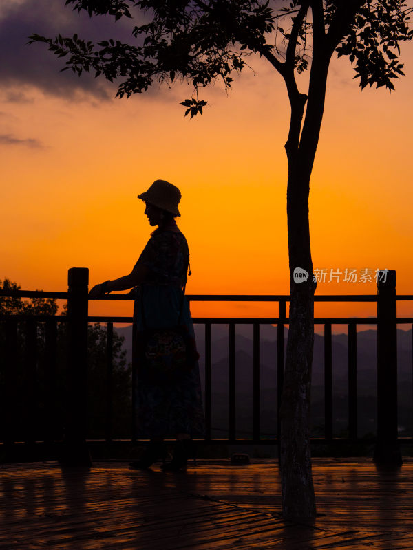 夕阳黄昏女人美女剪影树旁