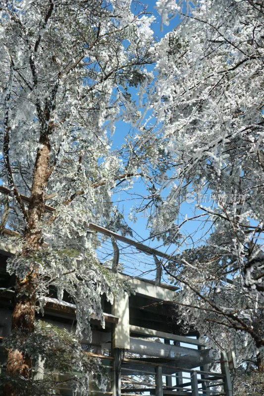 冰雪锁大山，雪境奇美入画笺