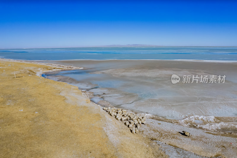 冬日冰封的青海湖风光