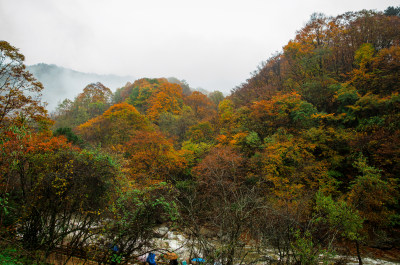 光雾山红叶彩林溪流河谷山谷漂亮壮观