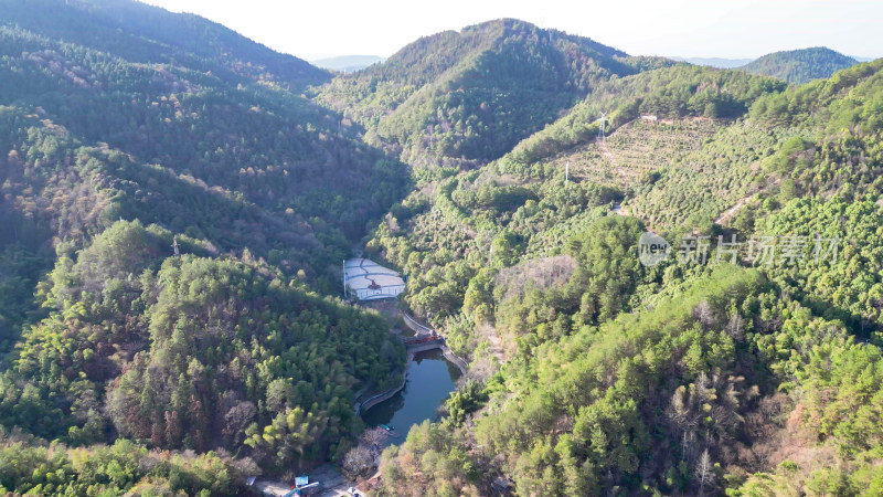 绿色植物森林山川森林航拍图