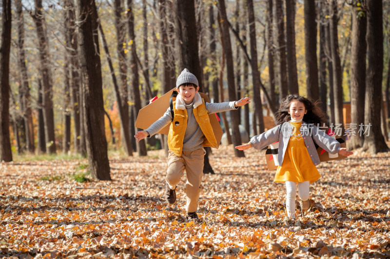 秋天快乐儿童在户外玩耍