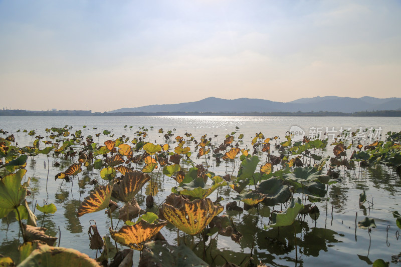 美丽的苏州石湖景区