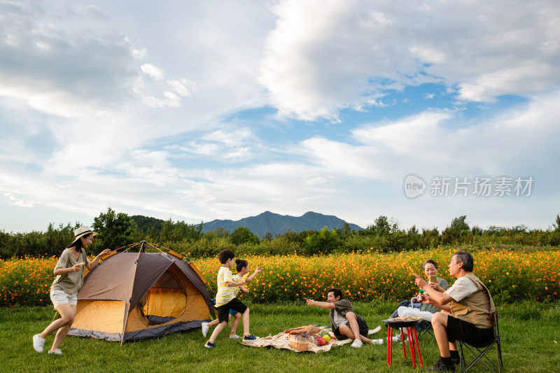 欢乐家庭在郊外野餐