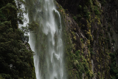 新西兰米佛峡湾Milford Sound