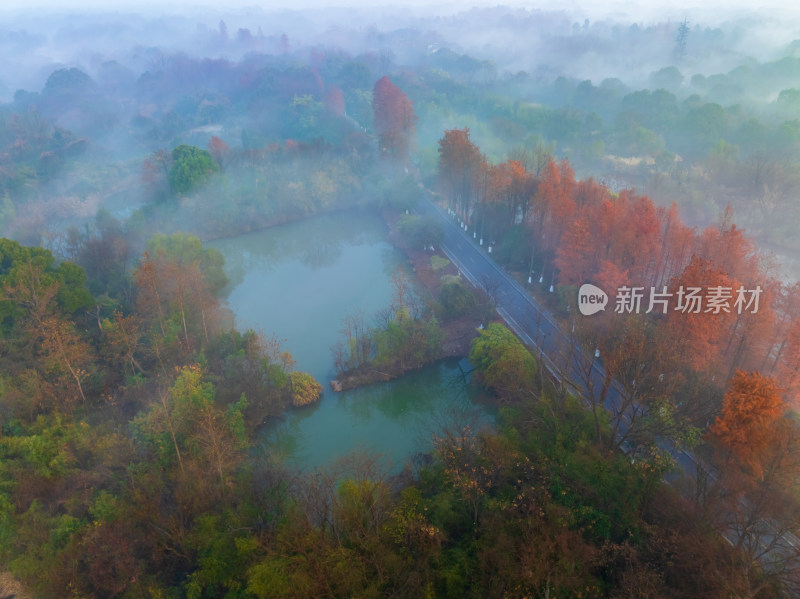 杭州西溪湿地自然风光