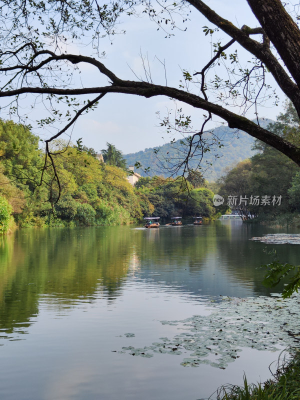 浴鹄湾湖畔山林间的游船景致