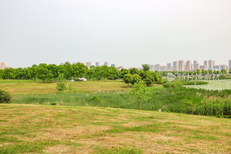 武汉黄家湖生态湿地公园