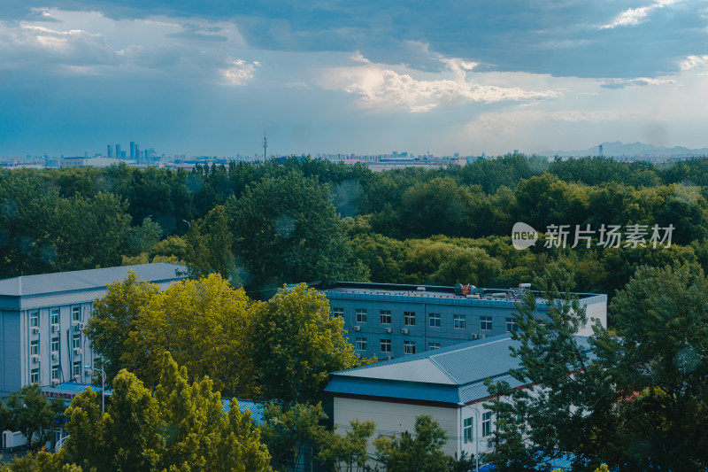 雨中的城市风光