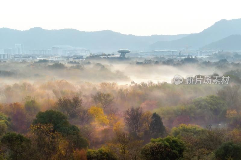 杭州秋天 西溪湿地 手摇船 湿地博物馆