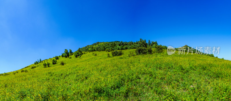 夏季蓝天白云绿色高山草甸群山大气风光