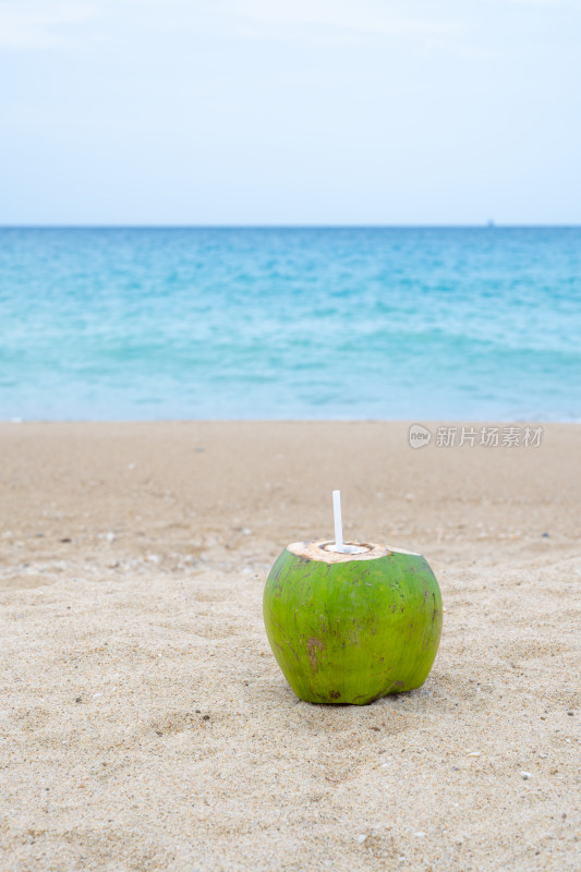 亚龙湾沙滩度假椰子