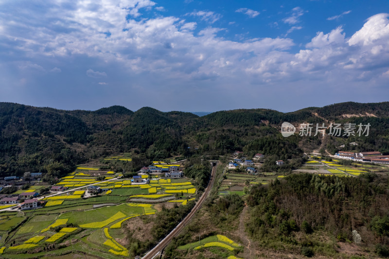 农业种植农田油菜花航拍图