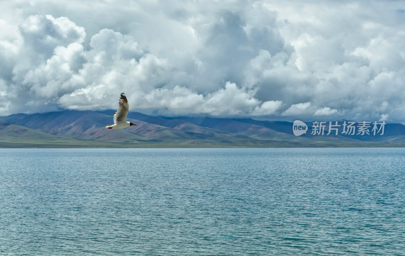 西藏高原湖泊纳木措圣湖蓝天白云自然风光