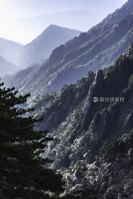 山林风景图 山间云雾缭绕植被茂密