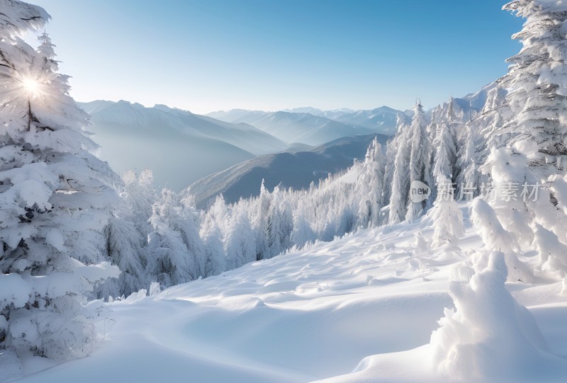 冬季森林白雪覆盖风景