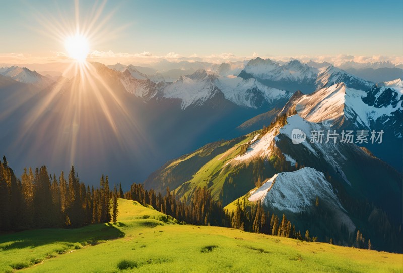 雪山草原森林风景