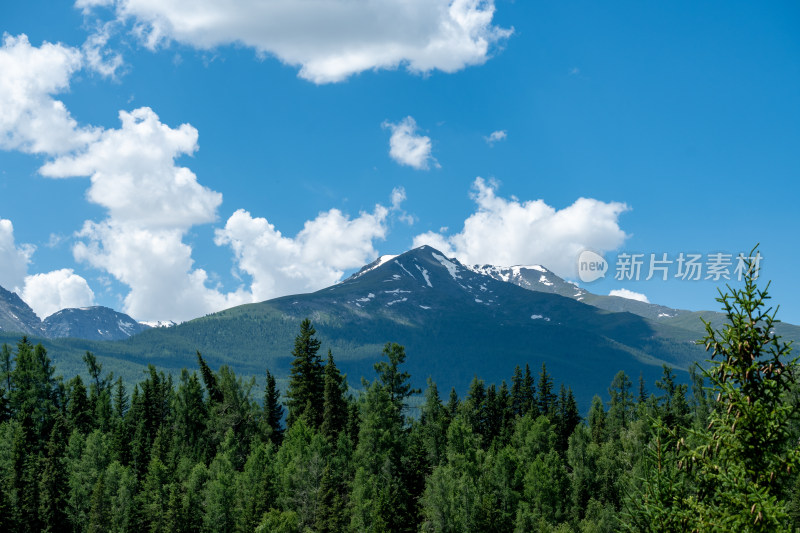 新疆喀纳斯景区风光