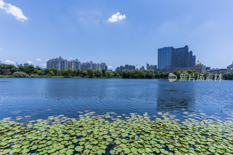 武汉武昌区内沙湖公园风景