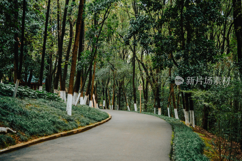 岳阳金鹗山孔子公园