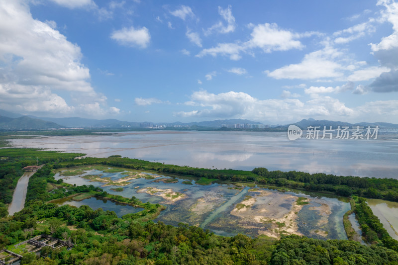 深圳福田红树林保护区