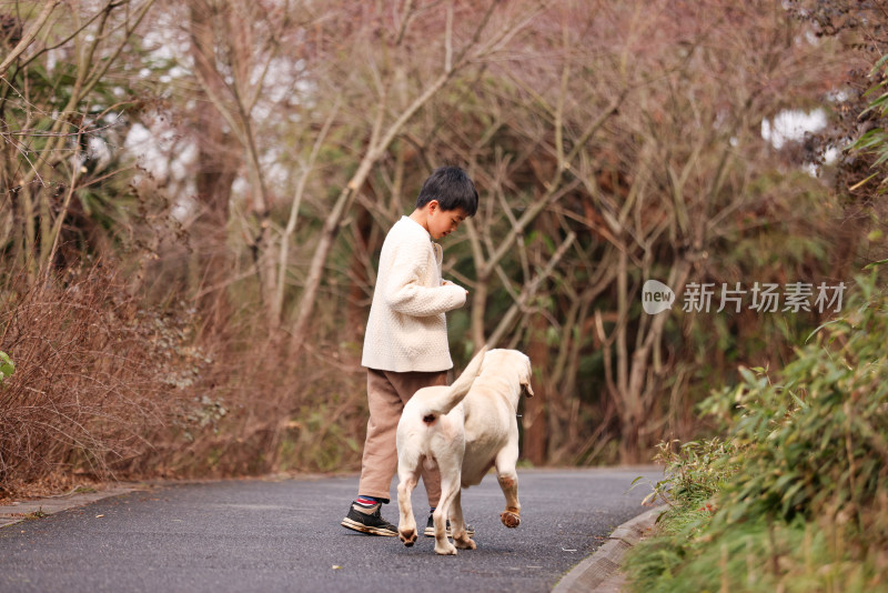 一个中国小男孩和他的宠物拉布拉多犬