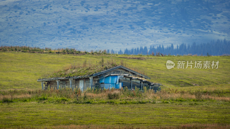 新疆伊犁草原上的小木屋