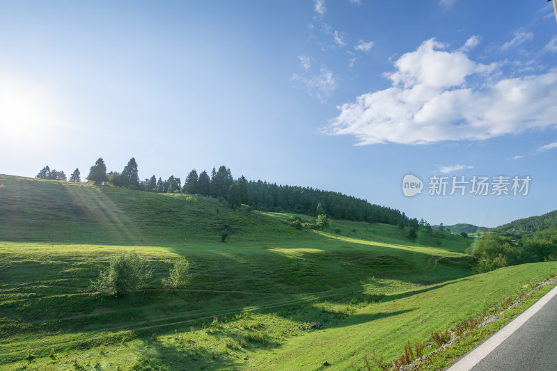 重庆市武隆区仙女山国家森林公园