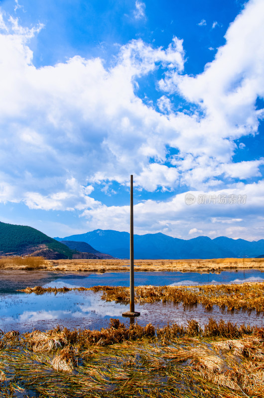 云南泸沽湖草海湖泊芦苇秋景风光