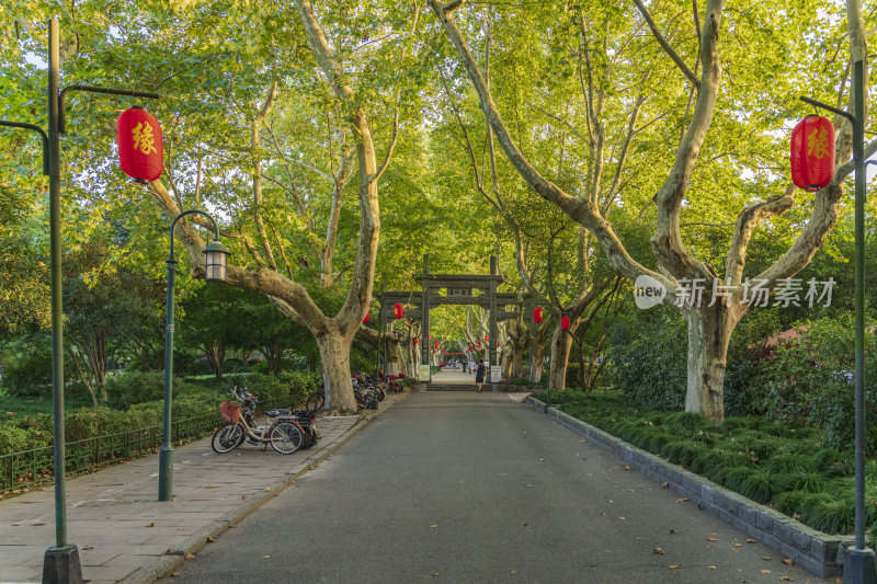 杭州栖霞岭黄龙洞景点风景