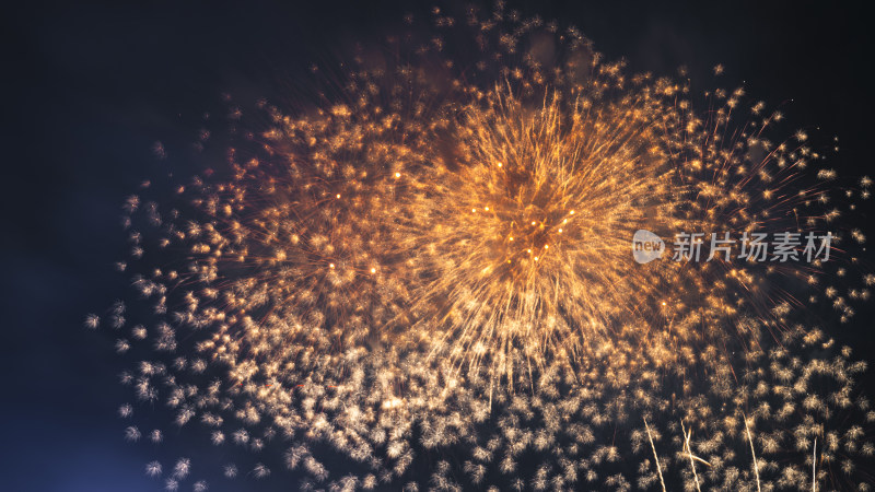 夜空中盛大绽放的绚烂烟花全景