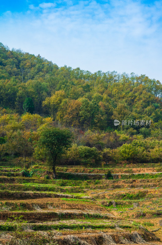 河南洛阳白云山风景区秋色