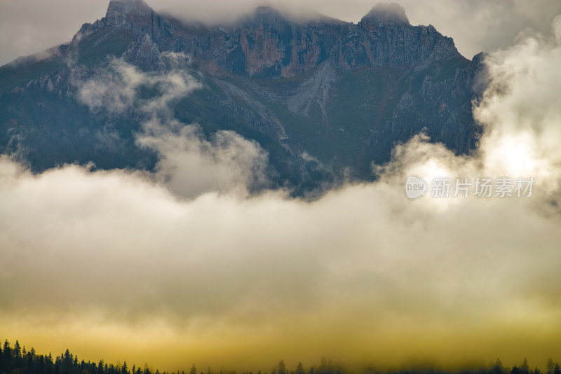 云雾中的森林山峰虎头山