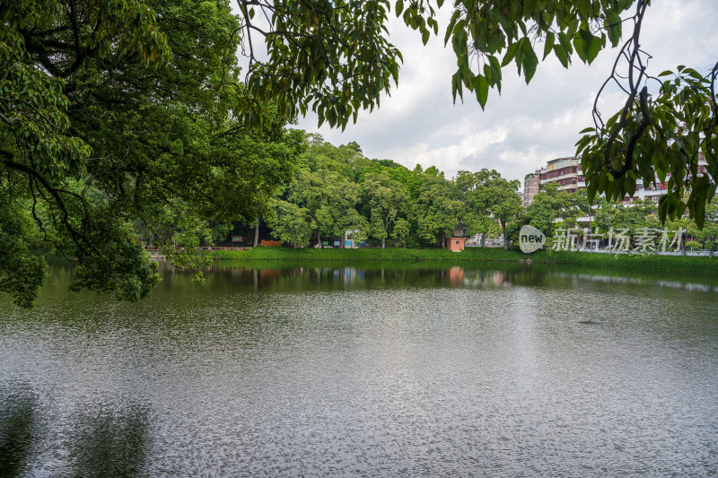 夏季白天广东潮州西湖公园园景风光