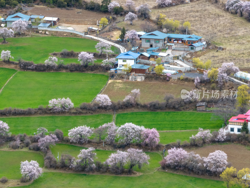 西藏林芝地区藏王故里桃花沟高空航拍