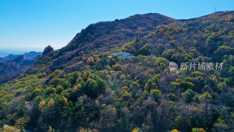 秦皇岛市祖山山林秋景图植被茂盛色彩斑斓