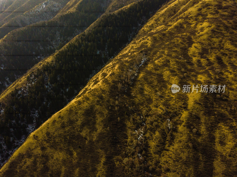 航拍冬季的森林滑雪场