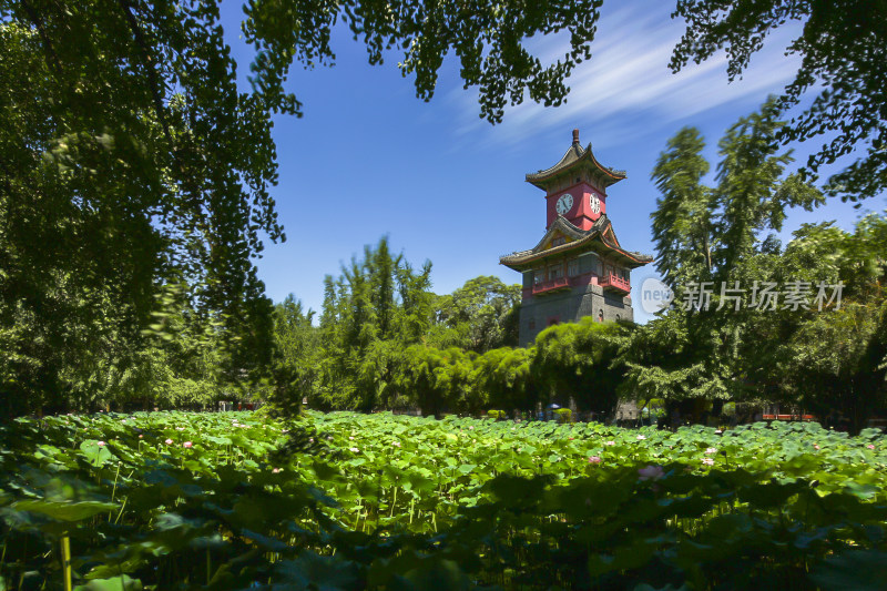 四川大学风光