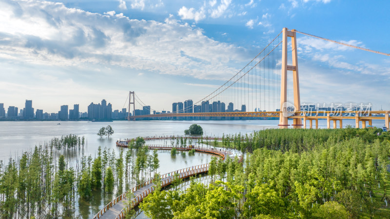 武汉江滩夏季湿地公园水上栈道