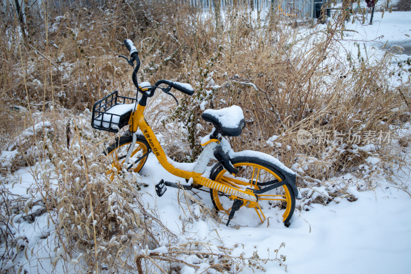被雪花覆盖的黄色共享单车