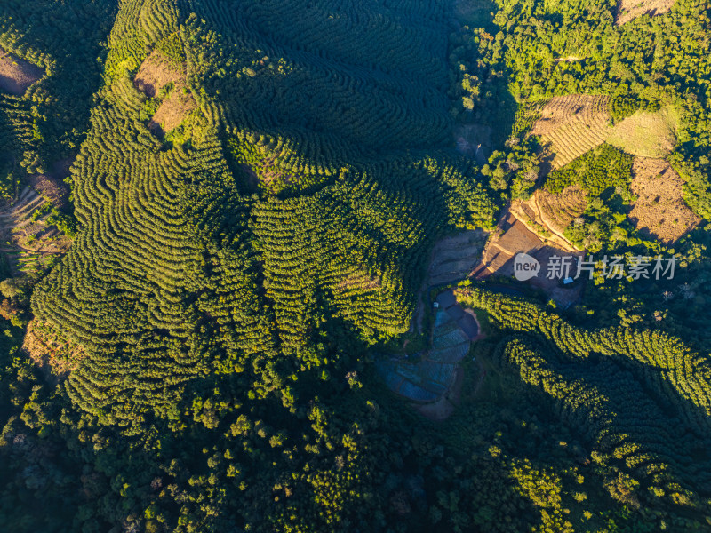 航拍层峦叠嶂的绿色山脉自然景观