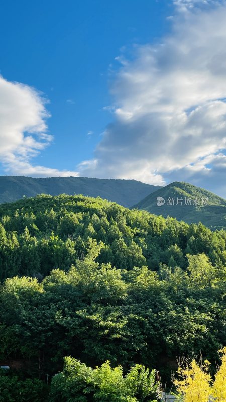 山林绿树蓝天白云风景