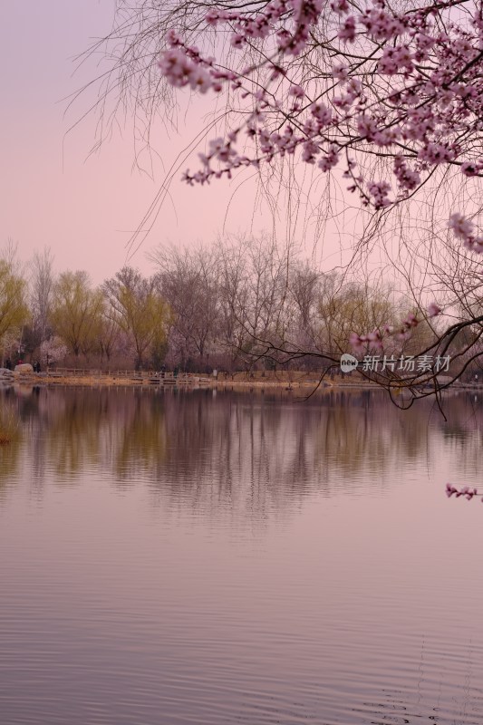 风景系列